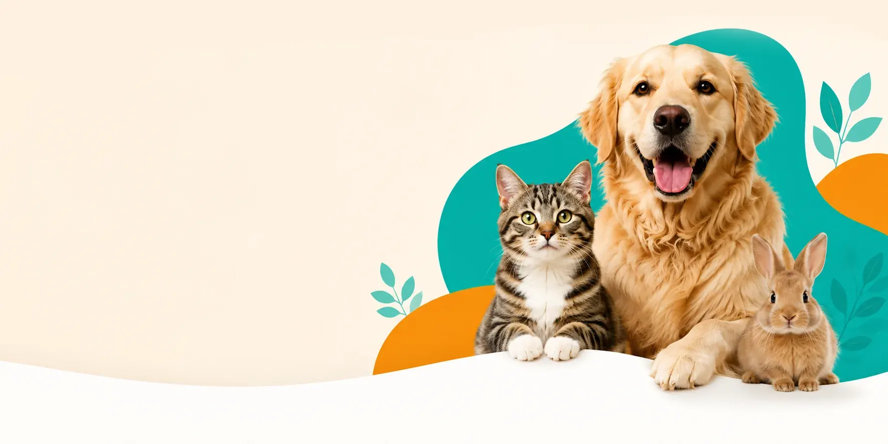 Perro, gato y conejo felices, las mascotas que cuidamos en Valpets